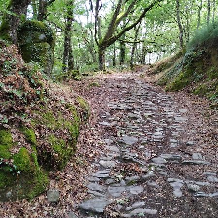 Affittacamere Casa Dario Diomondi Esterno foto