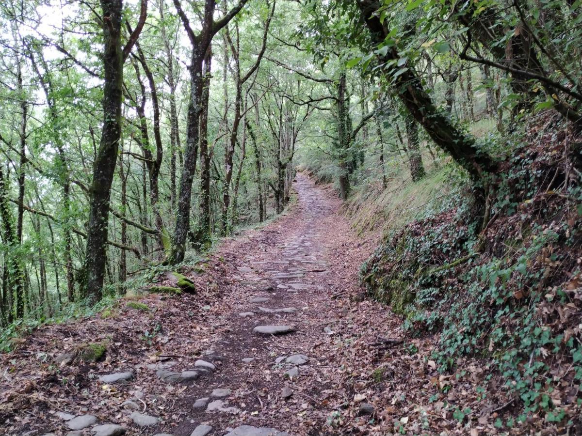 Affittacamere Casa Dario Diomondi Esterno foto